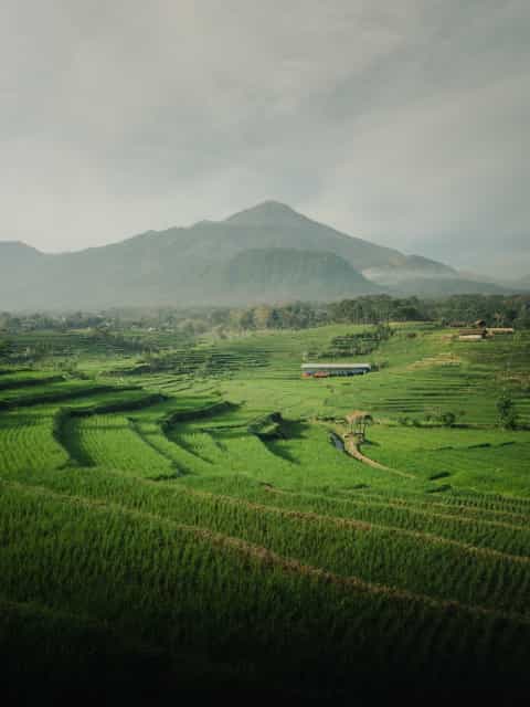 Indonesia