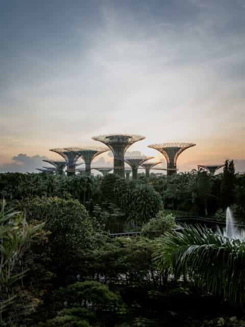 Singapore
