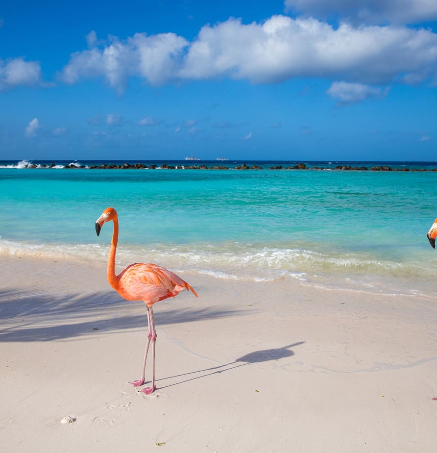 Aruba