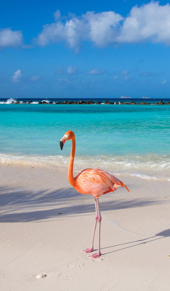Aruba
