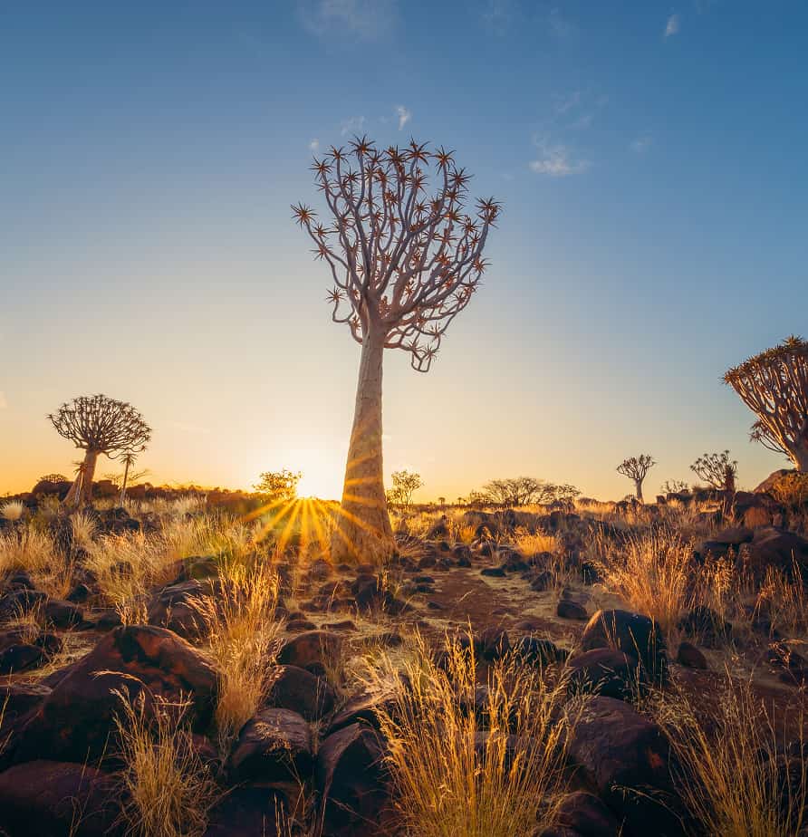Ethiopia