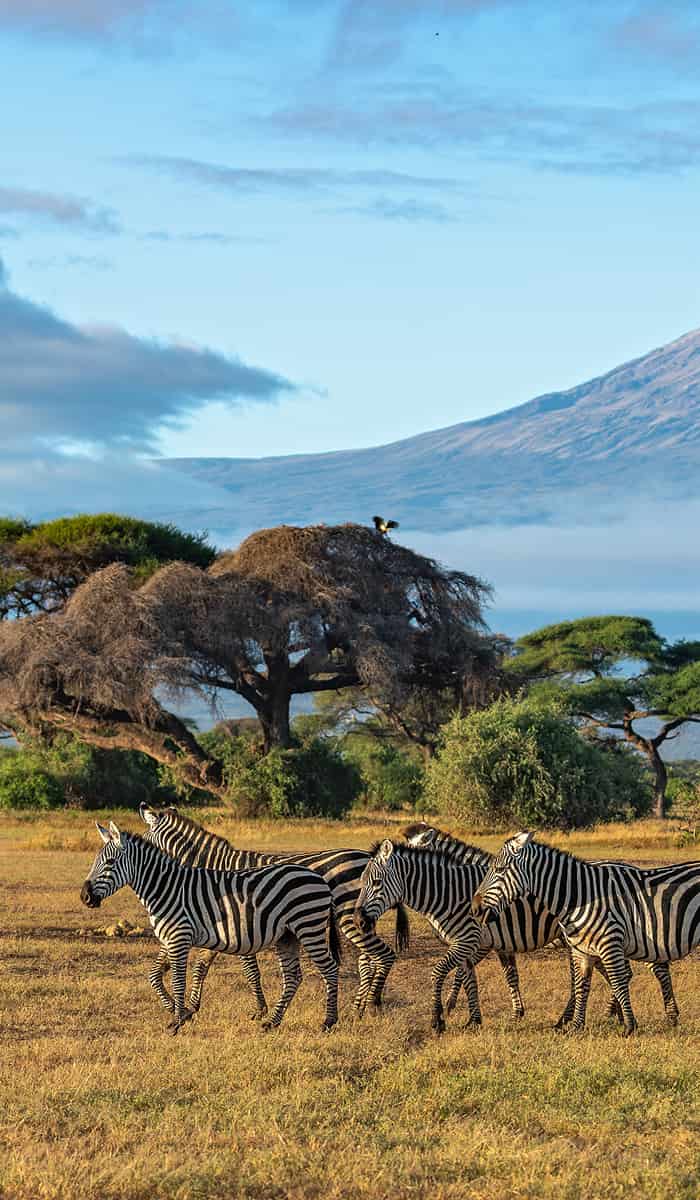 Kenya