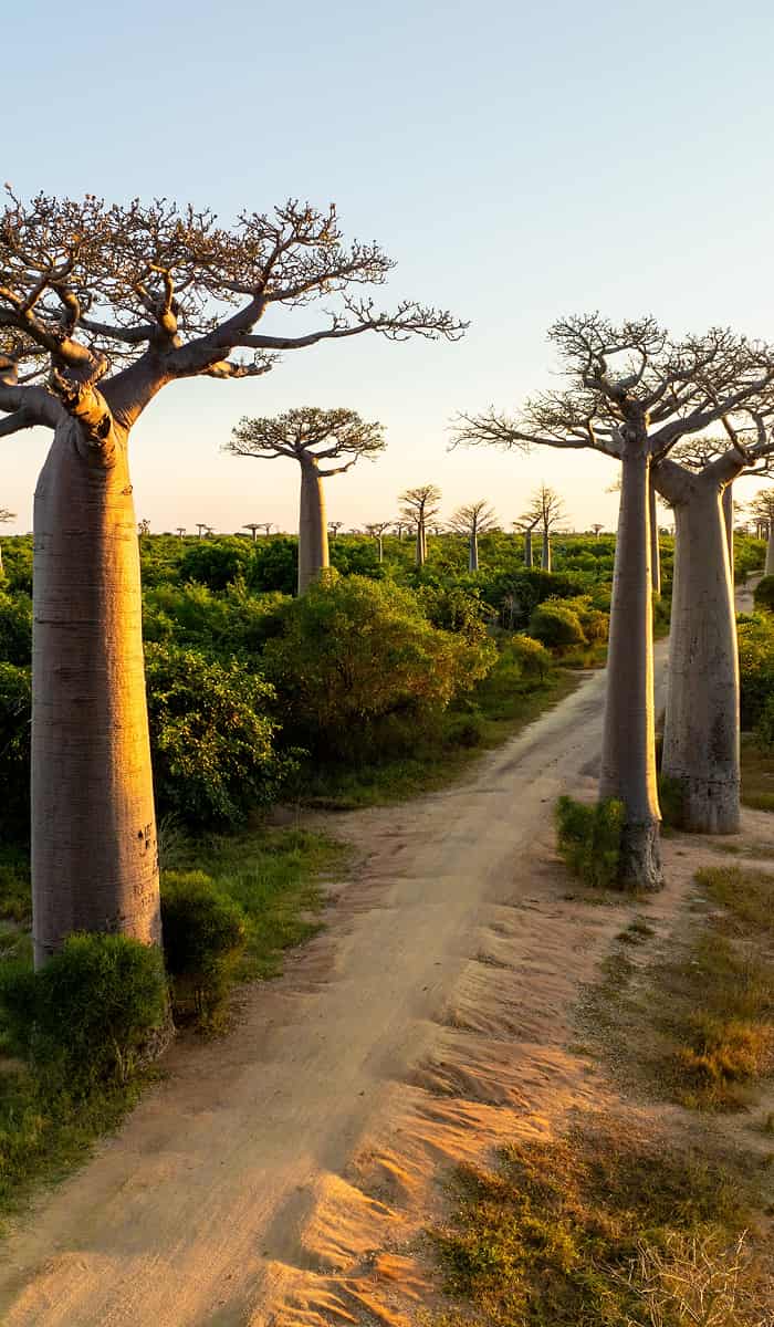 Madagascar