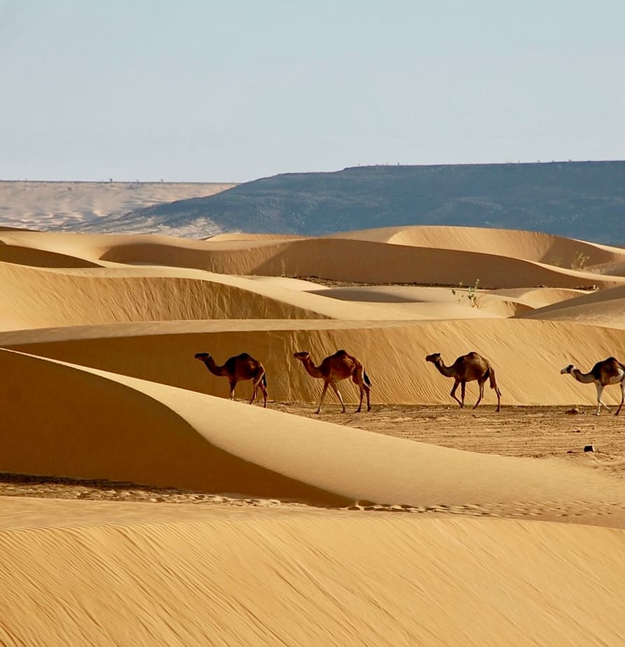 Mauritania