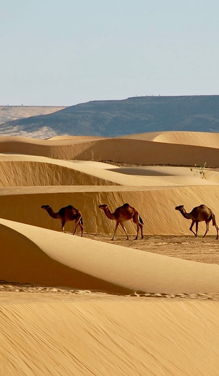 Mauritania