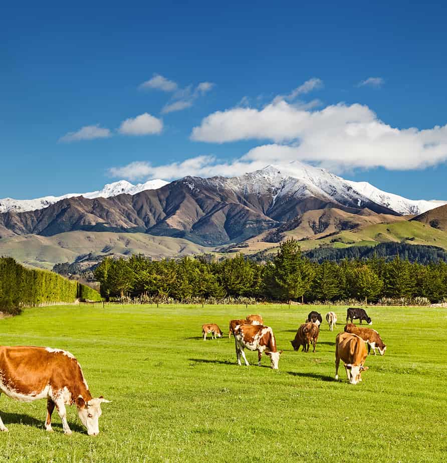 New Zealand