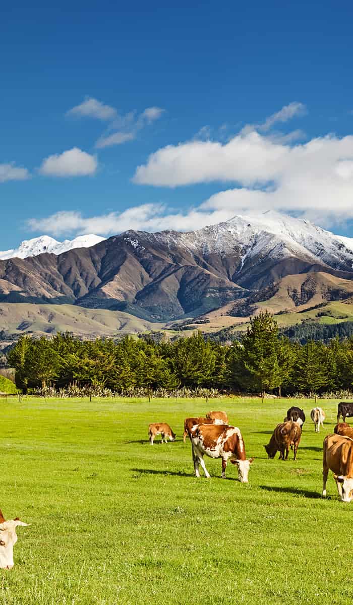New Zealand