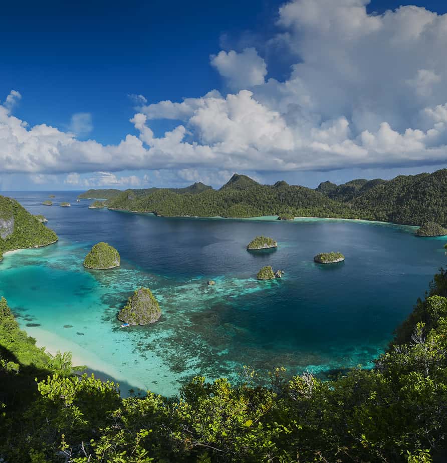 Papua New Guinea