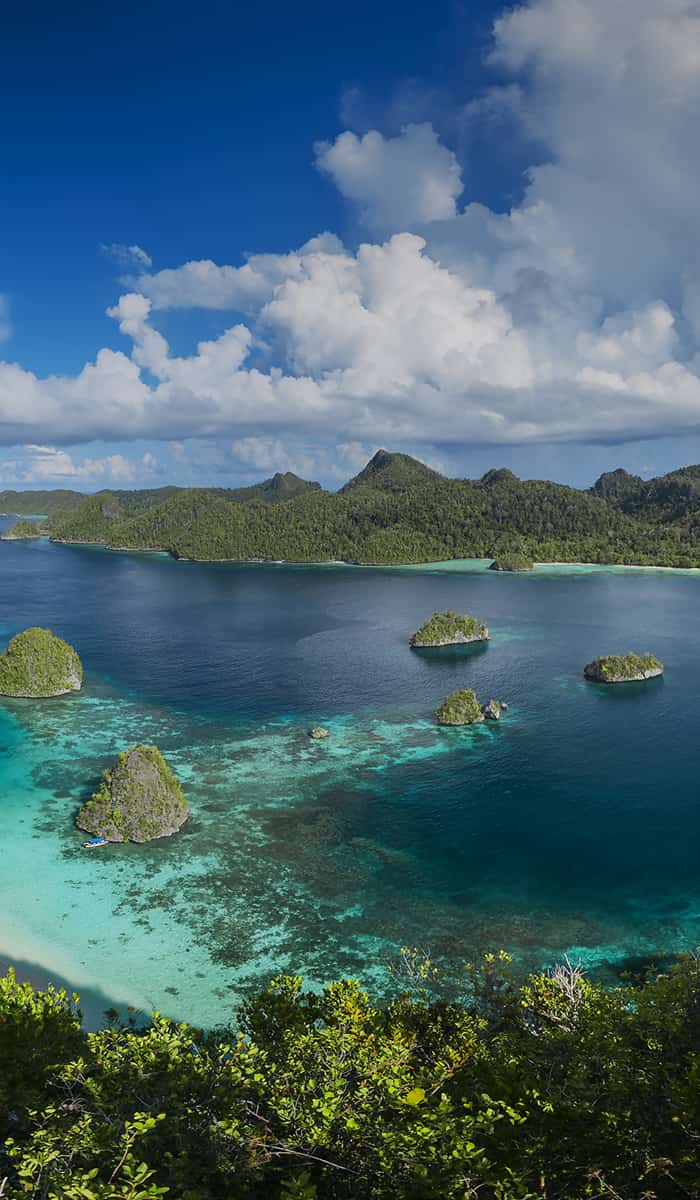Papua New Guinea
