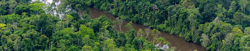 eSIM data plans for Suriname