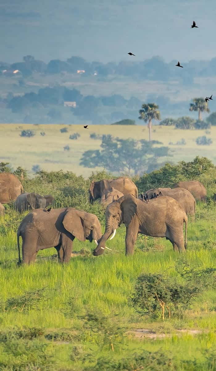 Uganda