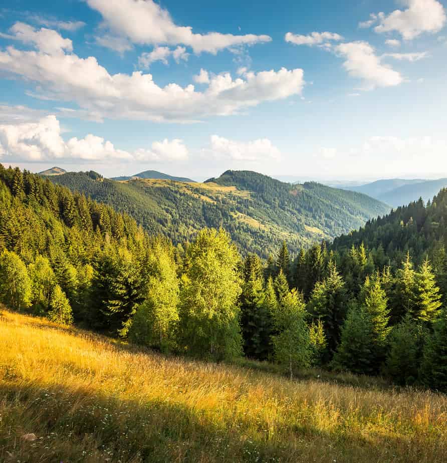 Ukraine