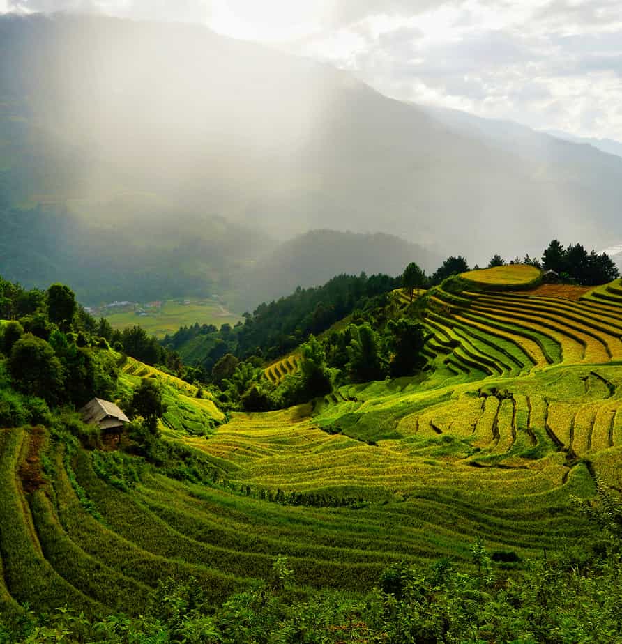 Viet Nam