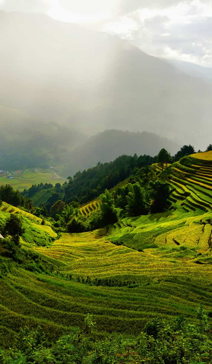 Viet Nam