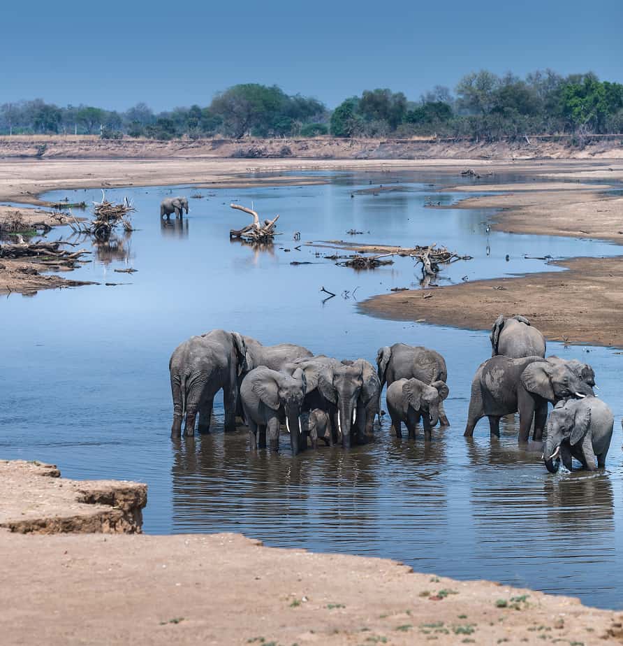 Zambia