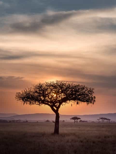 Africa