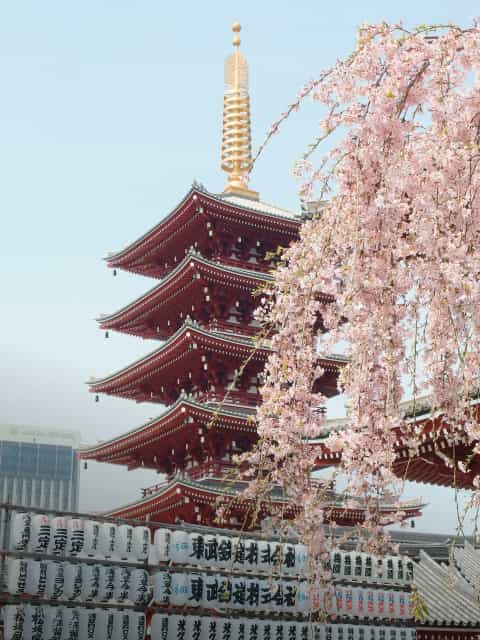 Asia