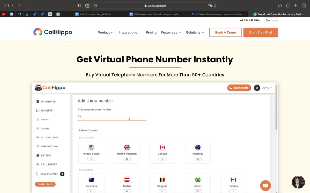 CallHippo Virtual Numbers