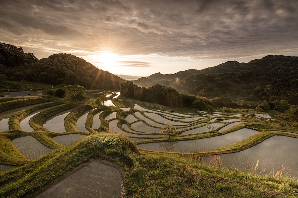 Oyama Rice Terrace in Kamogawa, Picturesque Landscapes