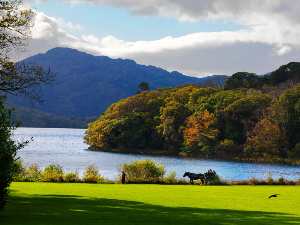 Ireland Killarney National Park