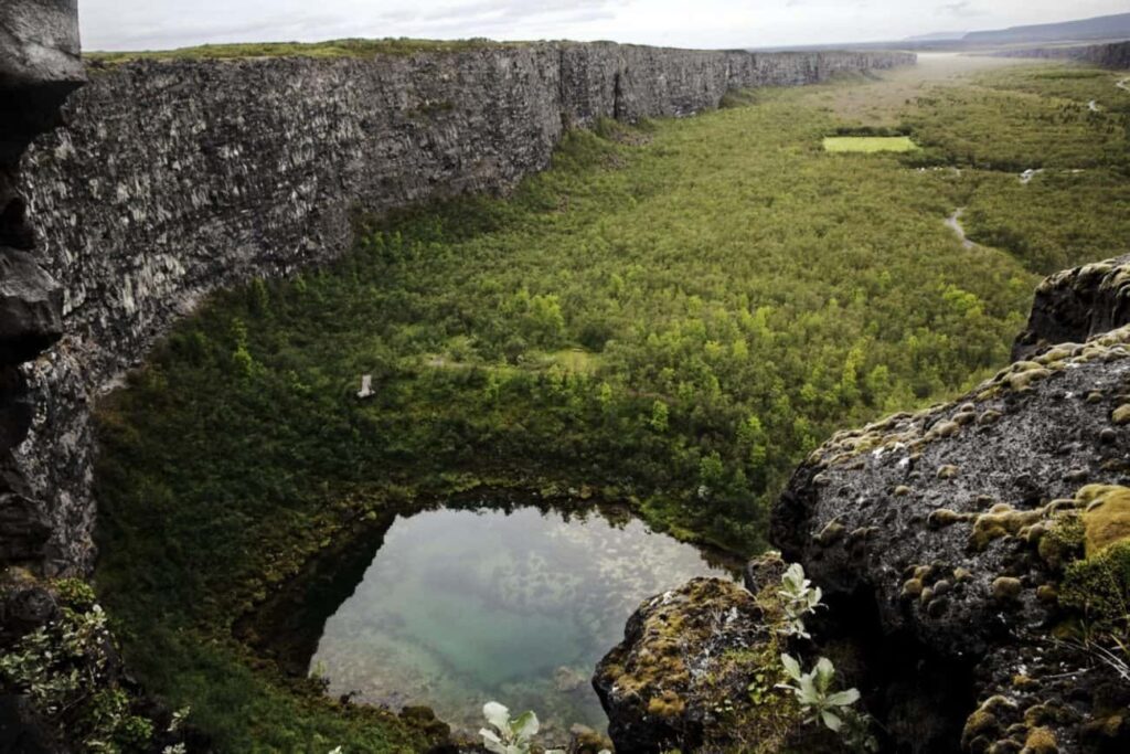 Iceland Asbyrgi Canyon