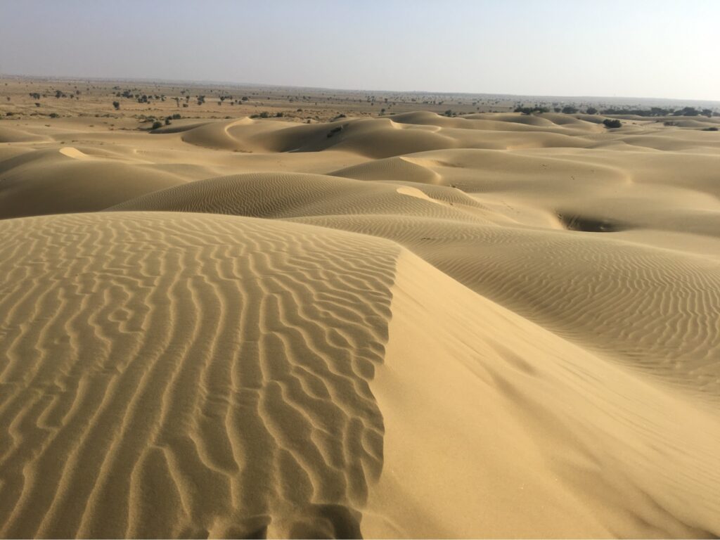 India Sam Sand Dunes