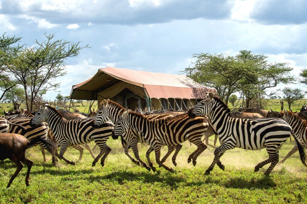 Africa Serengeti National Park