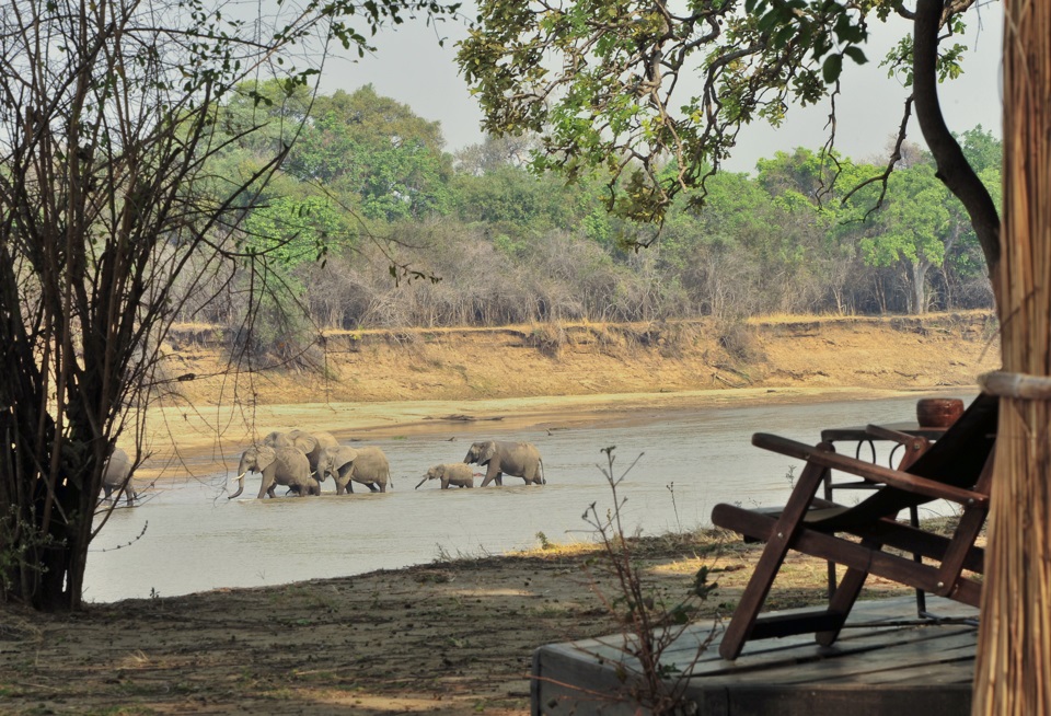 Africa South Luangwa National Park