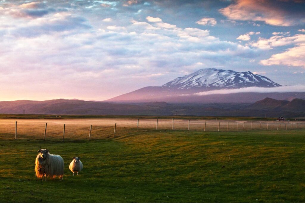 Iceland Hekla