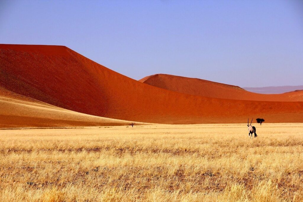  Africa Sossusvlei