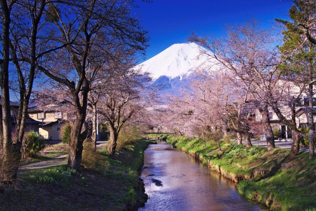 Tokyo Fuji-Hakone-Izu National Park