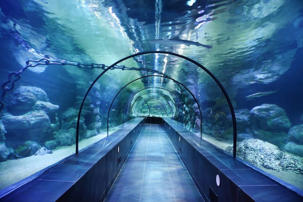 Istanbul Aquarium