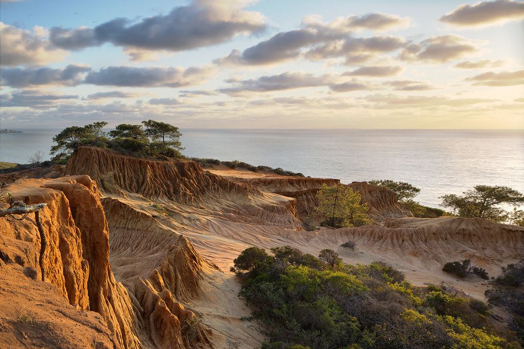 San Diego Torrey Pines State Natural Reserve