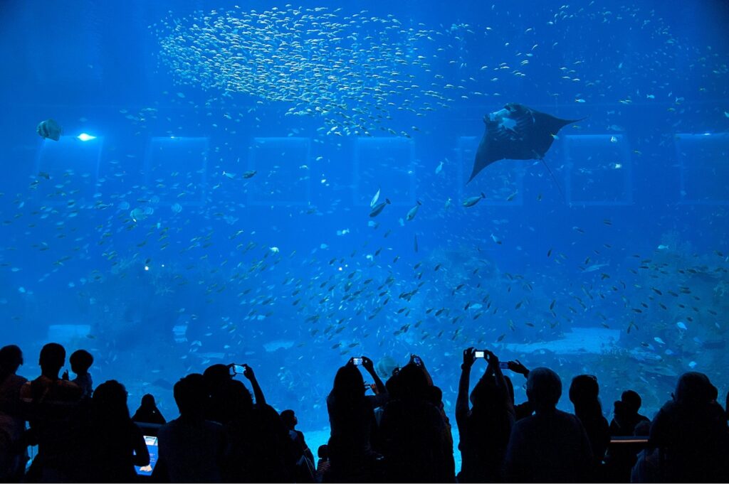 Singapore S.E.A. Aquarium