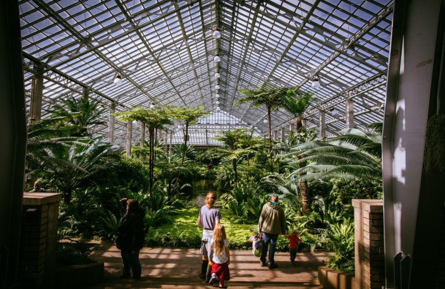 Chicago Garfield Park Conservatory