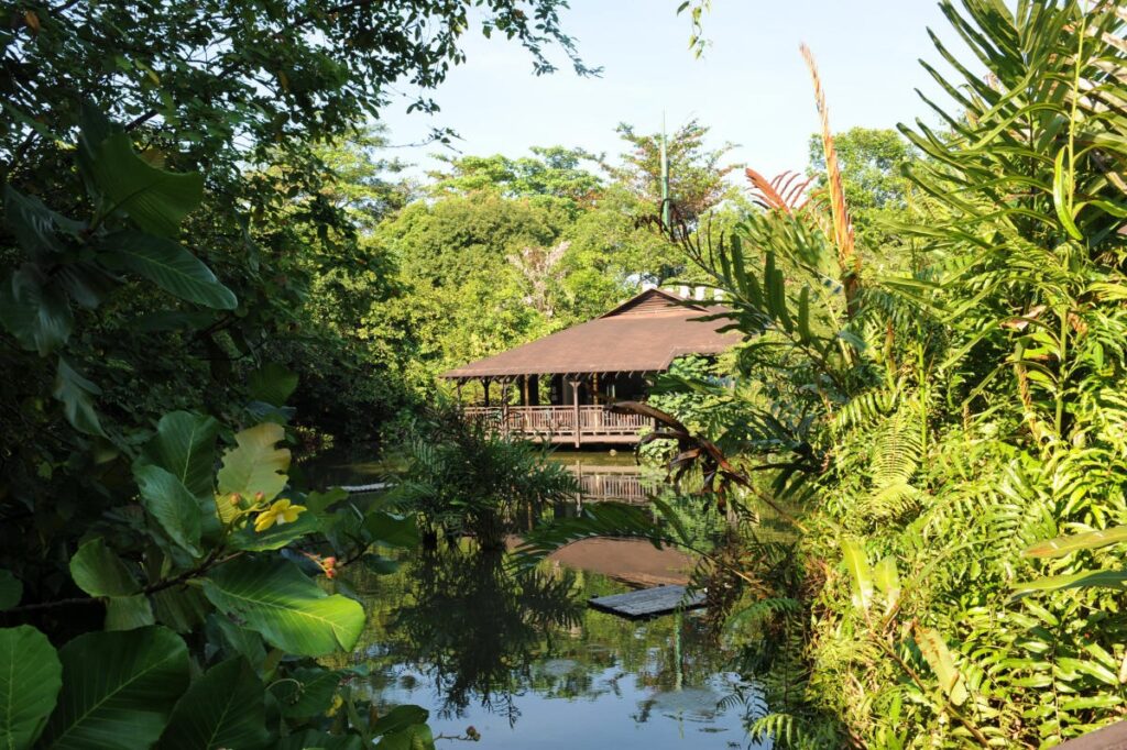 Singapore Sungei Buloh Wetland Reserve