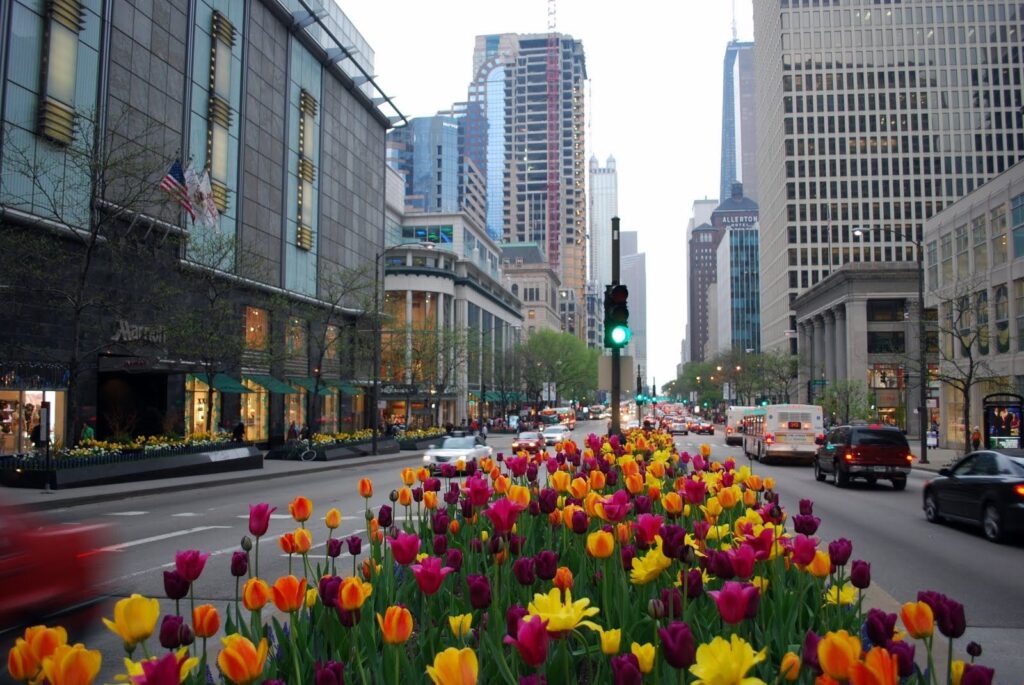 Chicago Magnificent Mile