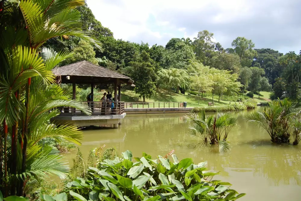 Singapore Botanic Gardens