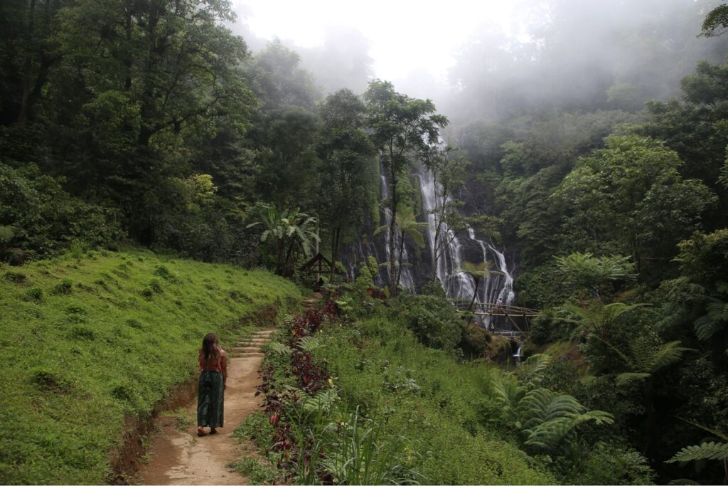 Bali Banyumala Twin Waterfalls