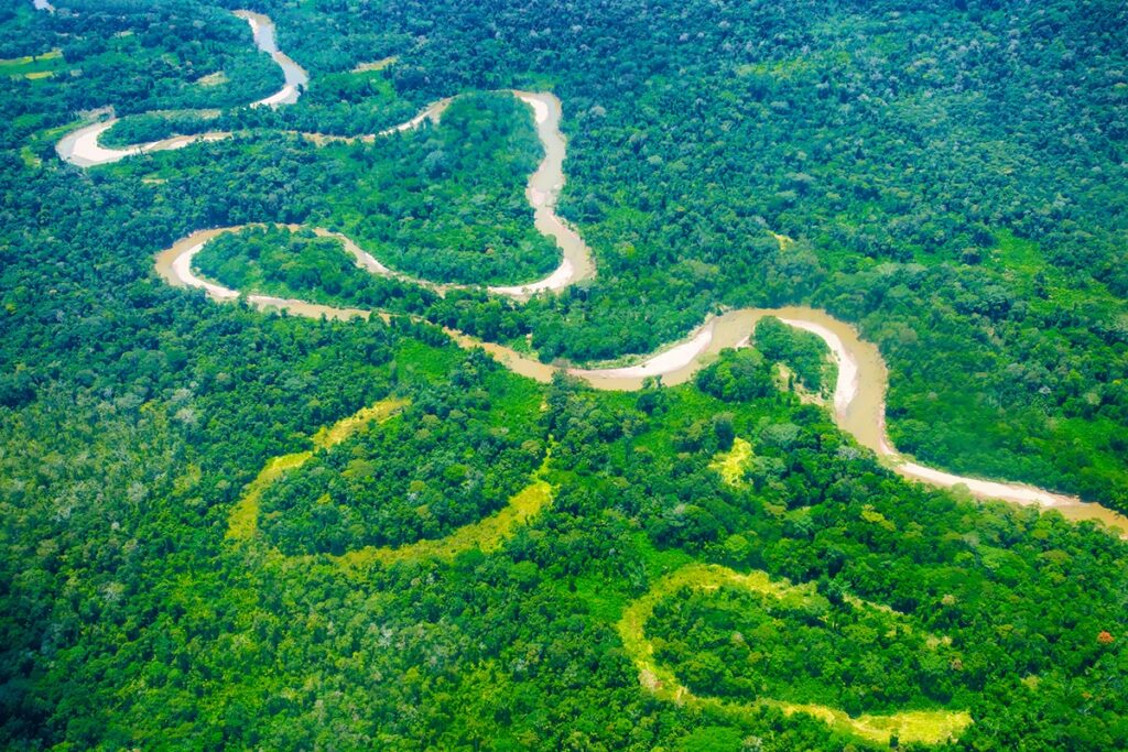 Brazil Amazonia