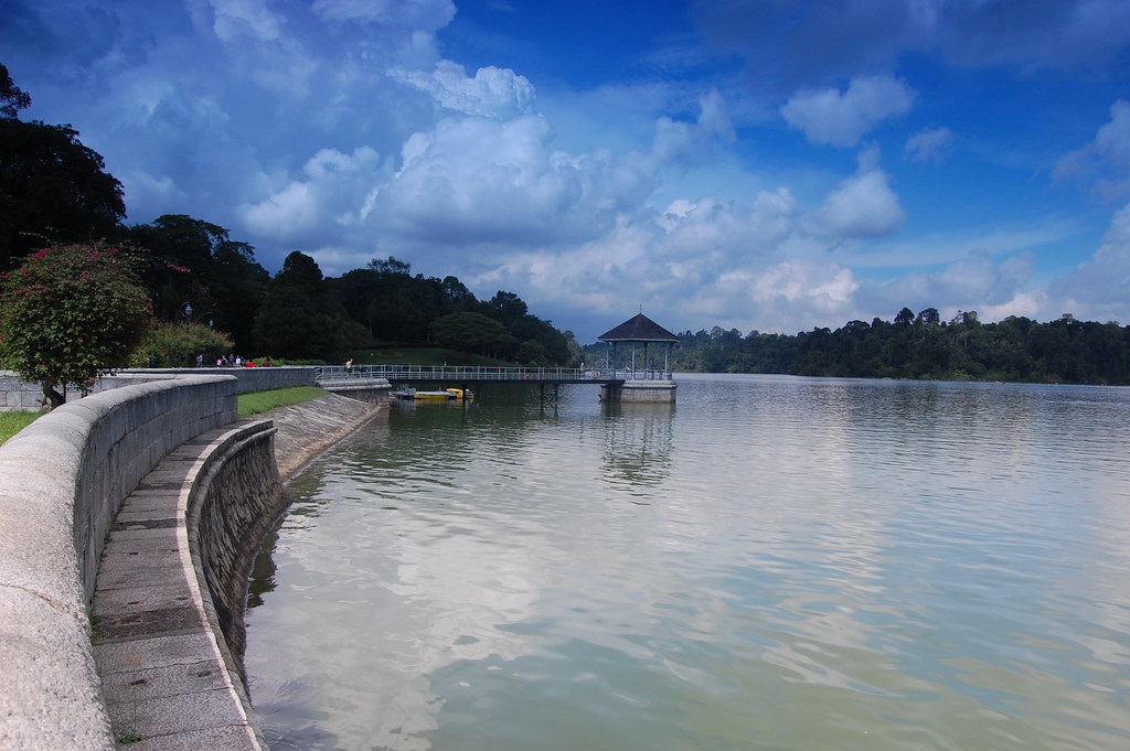 Singapore MacRitchie Reservoir