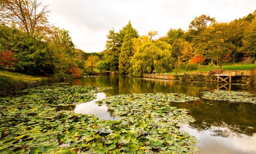 Istanbul Ataturk Arboretumu