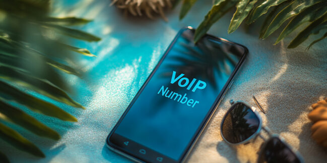 what is a voip number