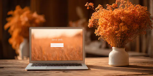 how to send sms online